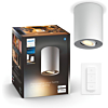 Philips 929003811701 Hue Pillar Spot White Ambiance Wit inclusief DIM Switch