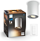 Philips 929003811701 Hue Pillar Spot White Ambiance Wit inclusief DIM Switch